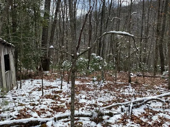 Jim Brown Hollow Road Gravel Lick Rd, Castlewood, VA 24224