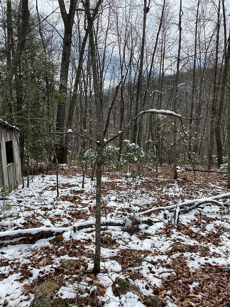 Jim Brown Hollow Road Gravel Lick Rd photo 1