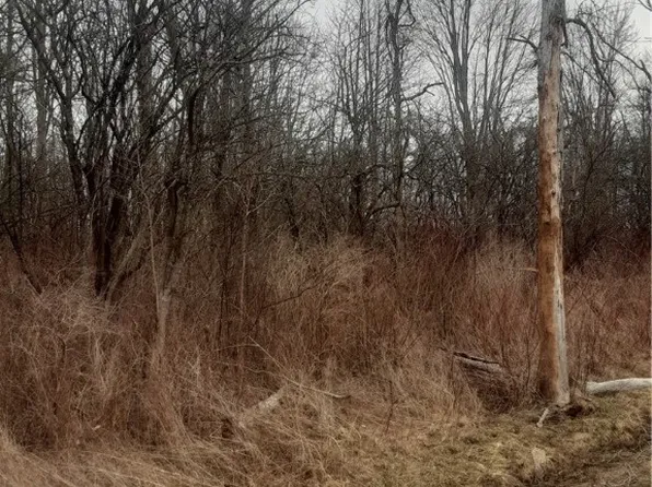 0 Walnut Point Rd #7, Canastota, NY 13032