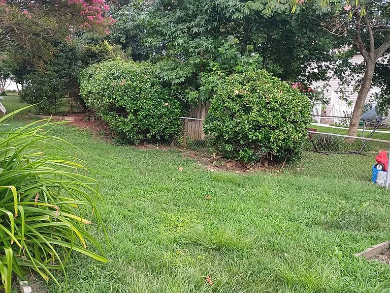 428 Lynn Shores Dr — Photo 14