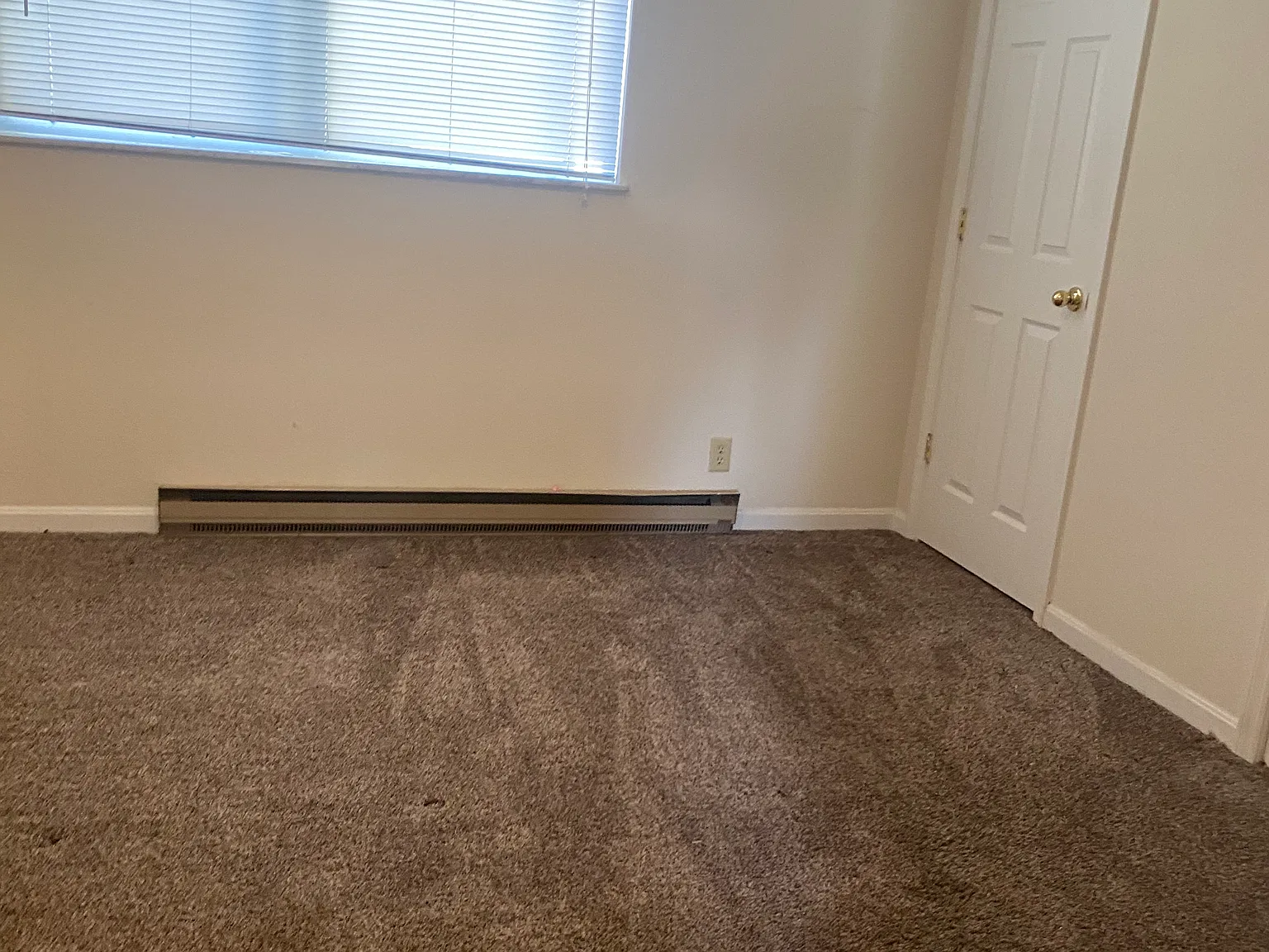 1 bed, 500 sqft, $650 — Photo 4