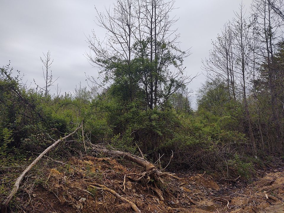 2nd image of 330 Madelyn Way