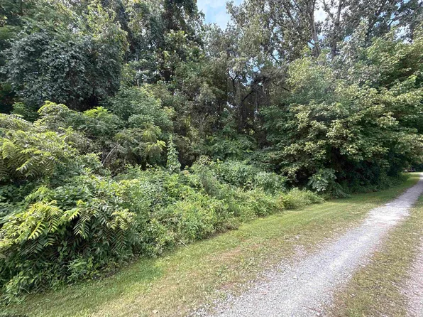 Gall Ave, Belington, WV 26250