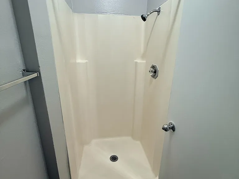 Master bathroom shower