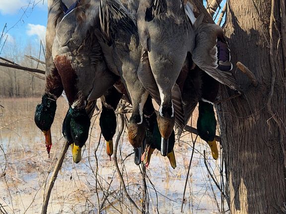 90th image of this home