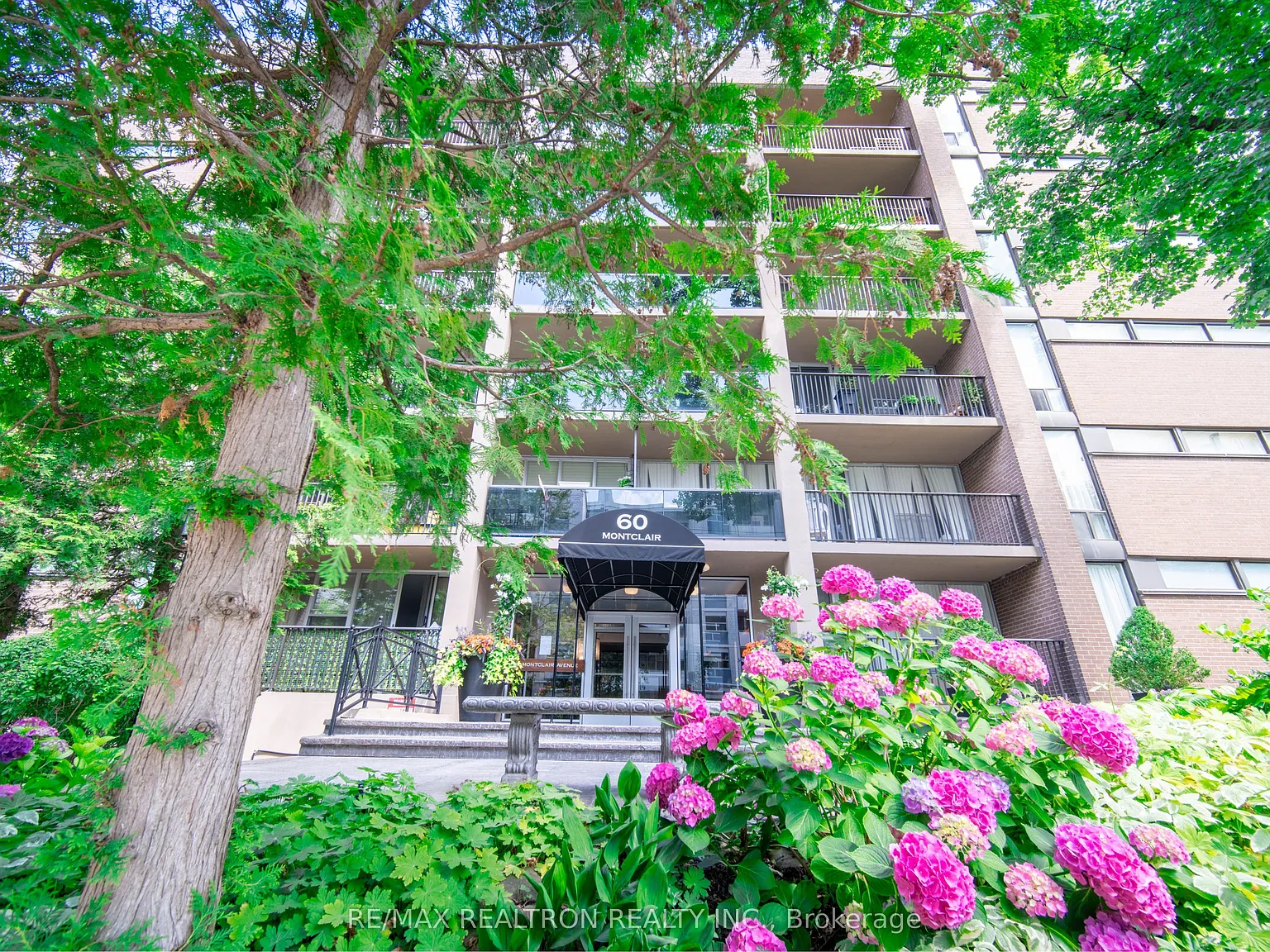 2 bed, $3,800 — Photo 2