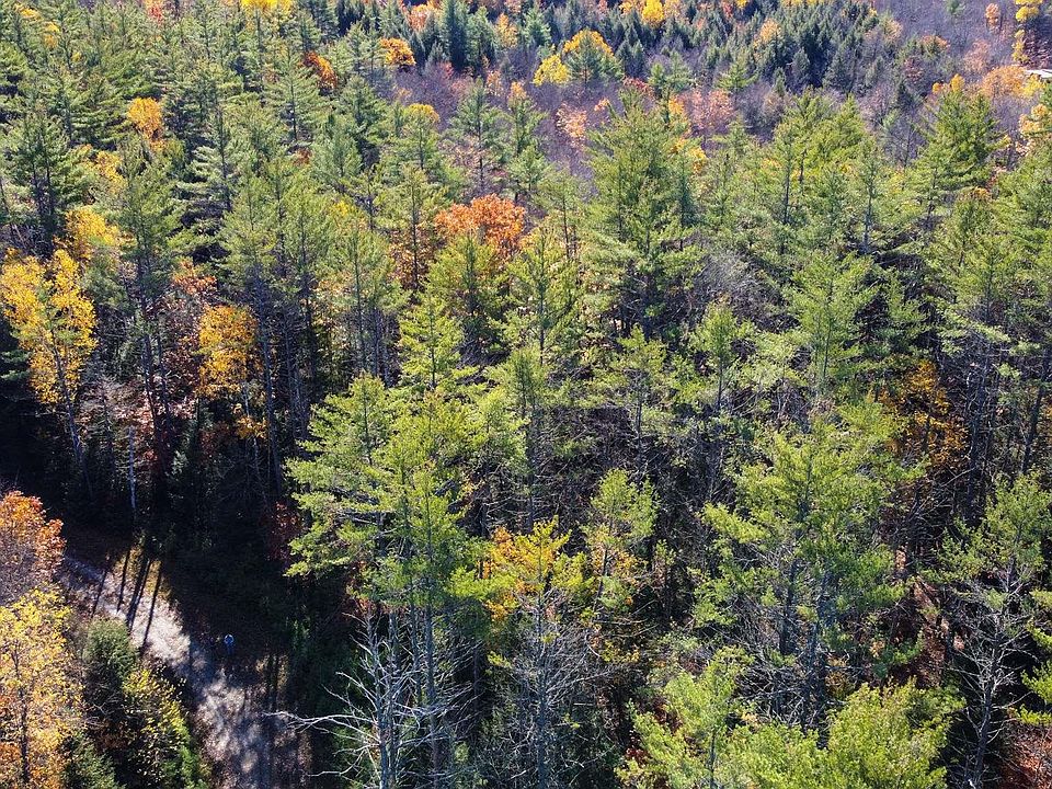 2nd image of 84 Mountain Path