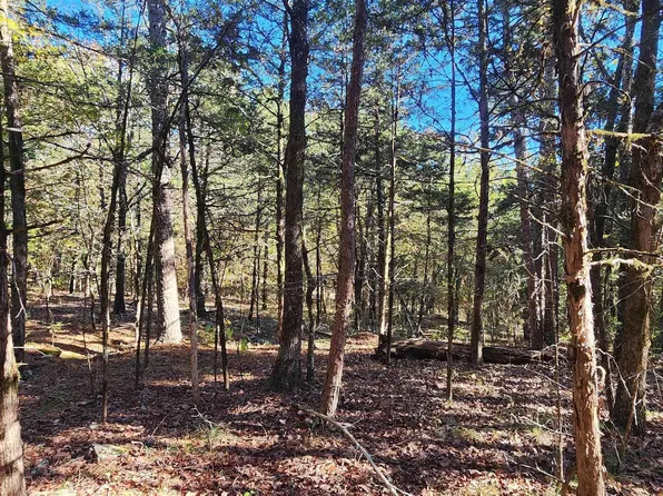 5 Wildwood Ln, Edgemont, AR 72044