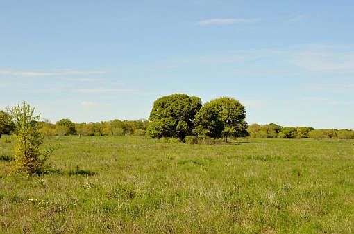 3rd image of 225 Private Road 220