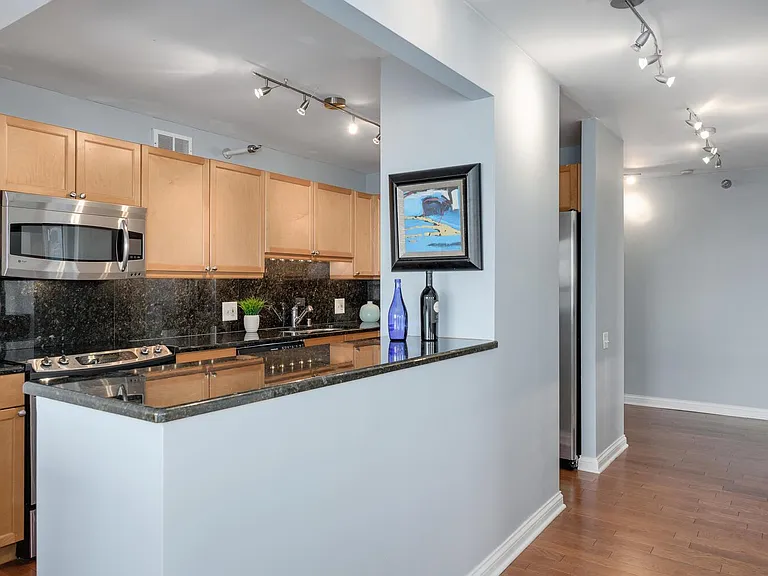 474 N Lake Shore Dr #5502 — Photo 8