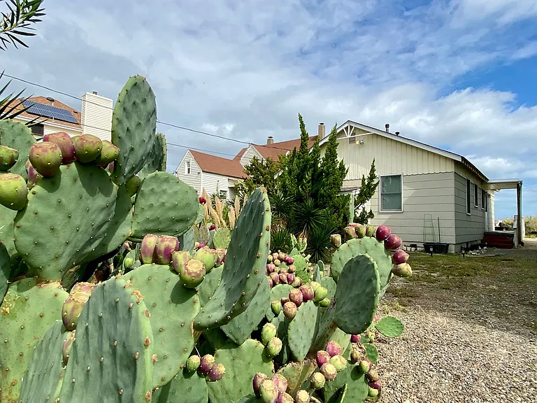 756 W Ocean View Ave — Photo 14