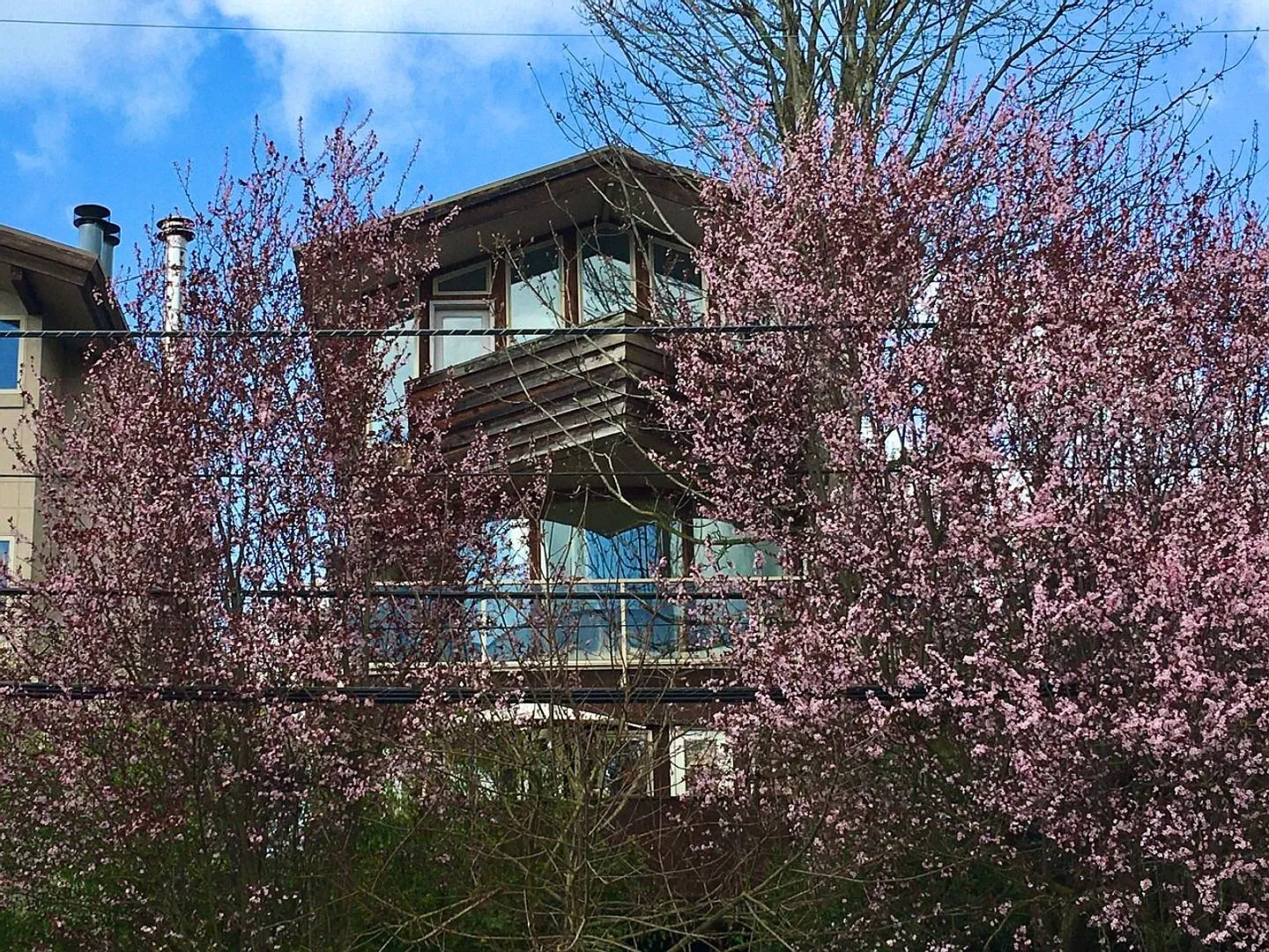2005 Jw Bertulis — Photo 2