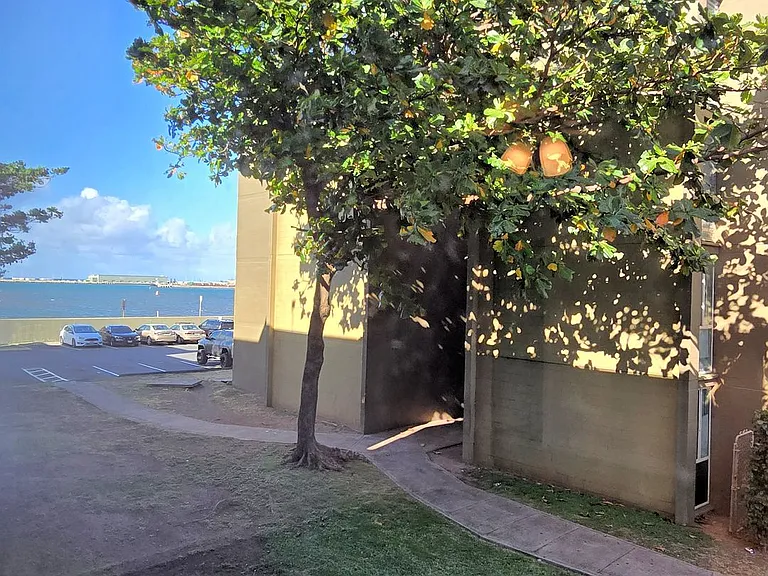 111 Kahului Beach Rd #D219 — Photo 14