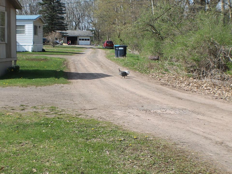 1st image of 101 Deshaw Dr