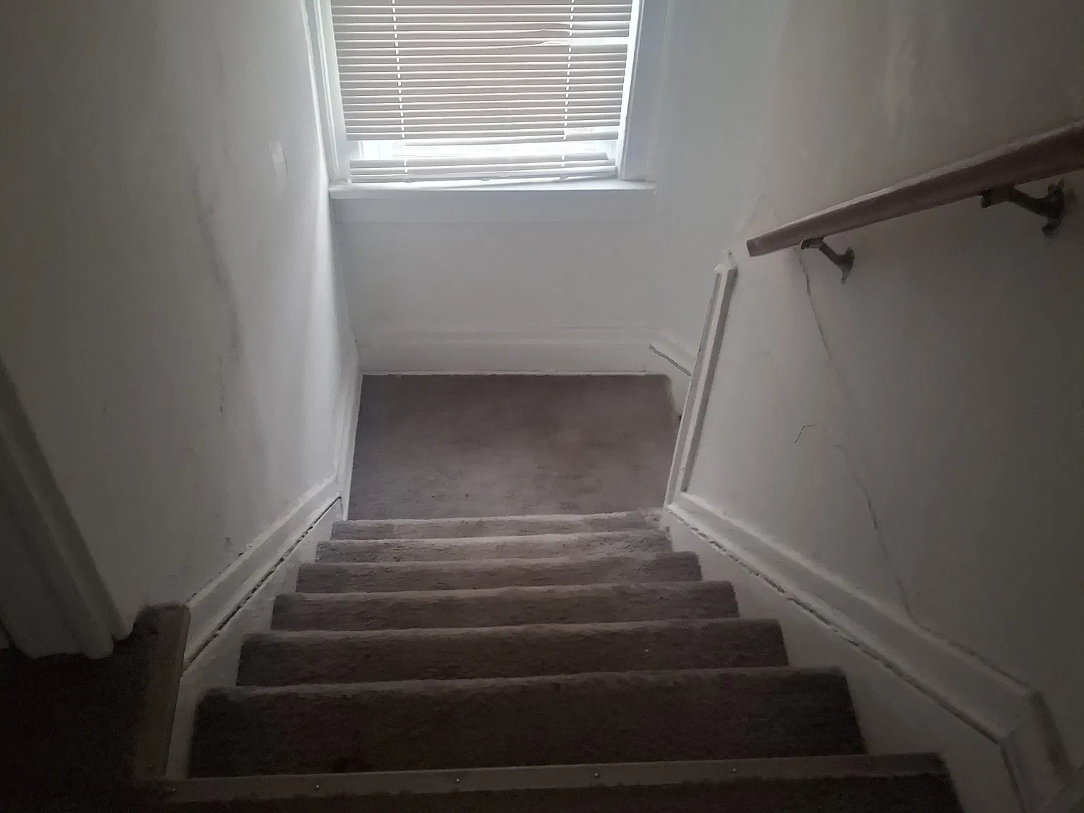 6 Gladys St — Photo 4