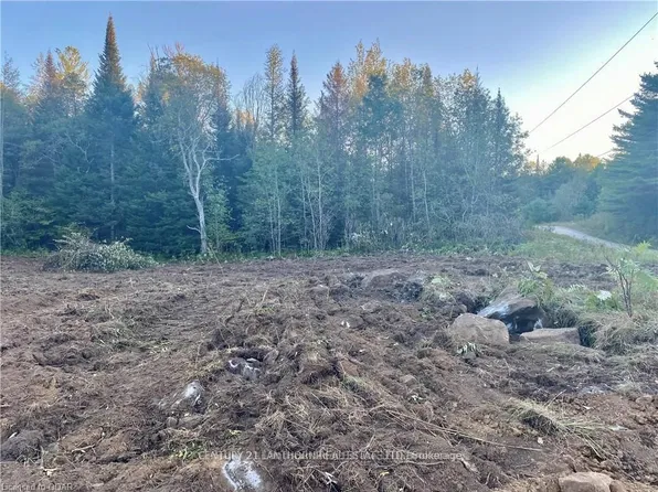 0 Stoney Settlement Rd, Tudor And Cashel, ON K0K 1Y0