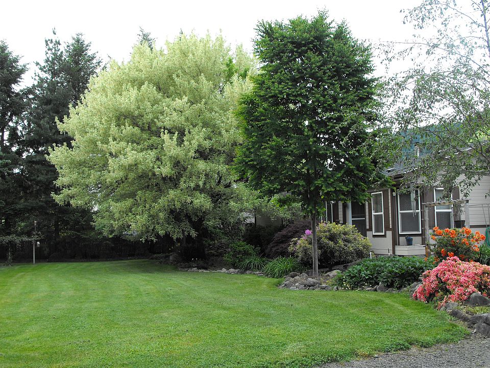 2nd image of 36957 Row River Rd