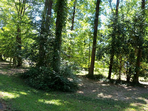 4th image of 641 Chinquapin Dr