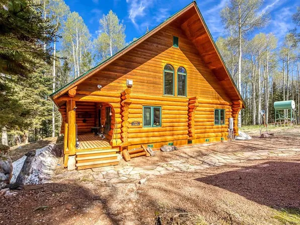 493 Aspen Drive, Cimarron, CO 81220