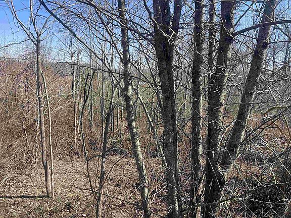 4th image of 3 David Brown Rd