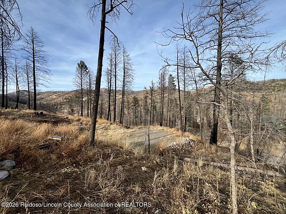 4th image of 116 Bluebelle Ln