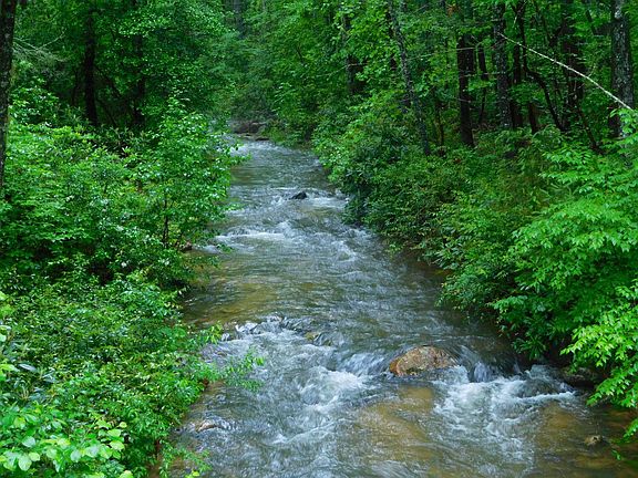 Rose Creek