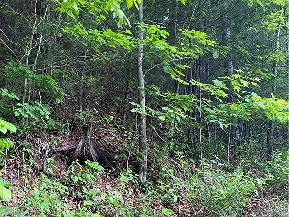 3rd image of LOT 80 Shagbark Dr