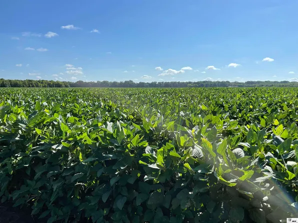 0 Sartor Rd, Gilliam, LA 71029