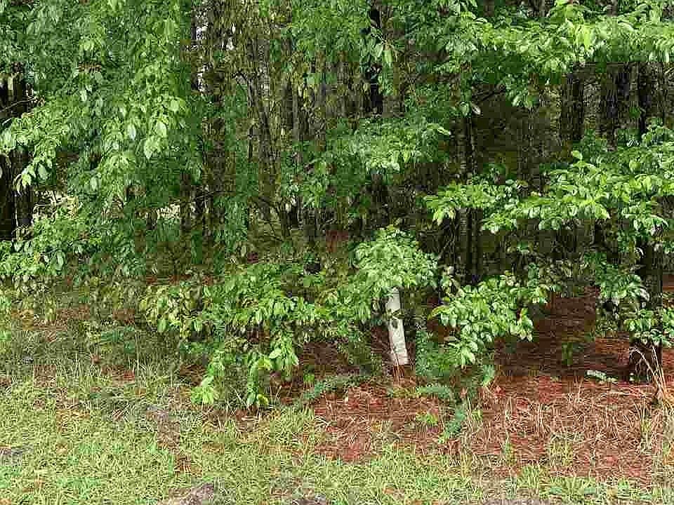 2nd image of 57 Stone Wood Ln