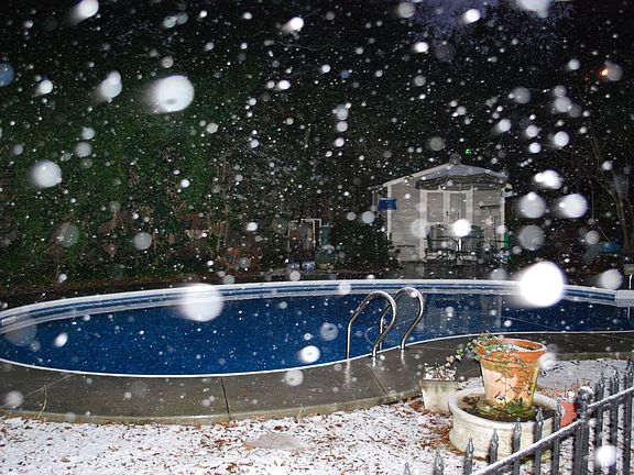 Looking at the in-ground pool