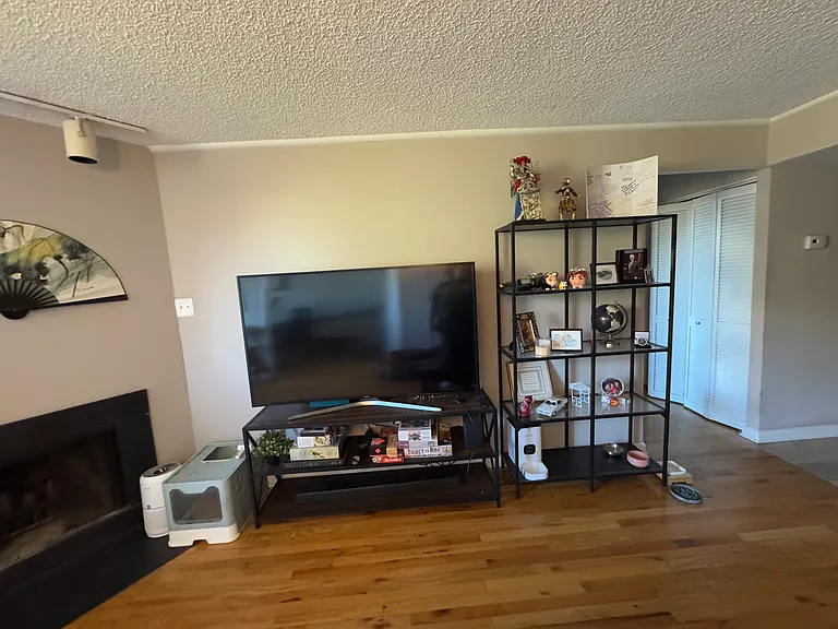The other side of the living room/dining space. TV is 55" for size reference. The white doors visible to the right is where the hallway closet and laundry are.