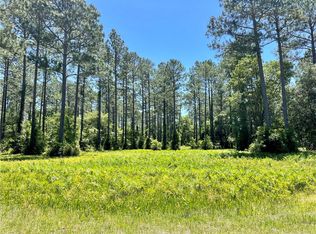 LOT 553 Woodstork Way NE, Townsend, GA 31331