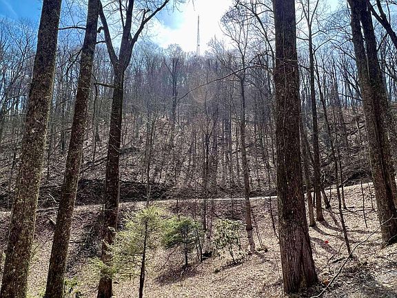 2nd image of Bluff Mountain Rd