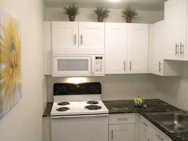 1 bed, 1.0 bath, 750 sqft, $1,600 — Photo 4