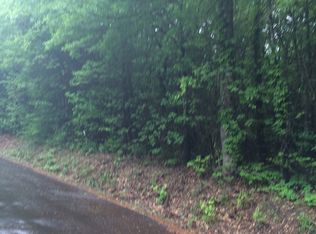 Tbd Hyacinth Rd, Diana, TX 75640