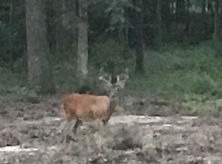 274 Hidden Valley Rd, Livingston, TX 77351