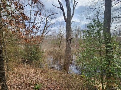 0 Kidds Fork Rd, Milford, VA, 22514