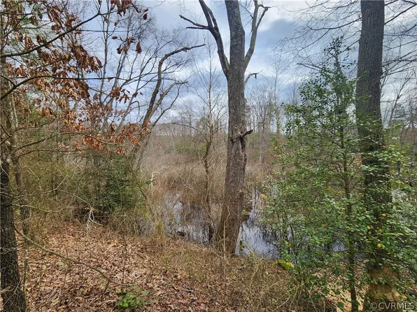 0 Kidds Fork Rd, Milford, VA 22514