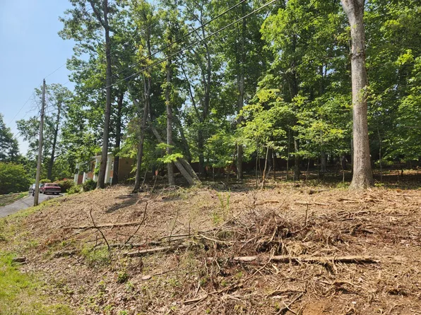 0 Pin Oak Dr #7, Blue Ridge, VA 24064