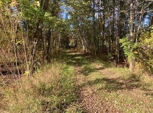 Beall Rd, Bear Lake, MI 49614