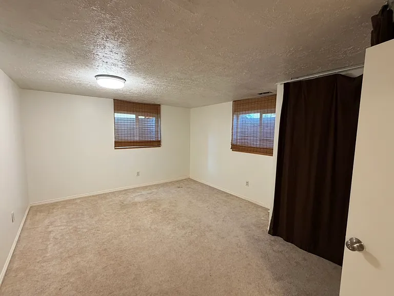 10680 S Carrington St — Photo 28