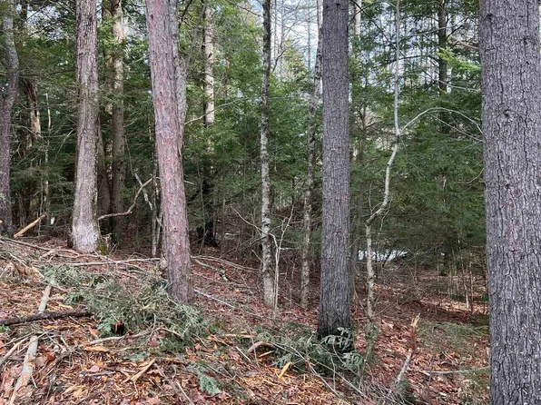 Bound Tree Road, Hopkinton, NH 03229
