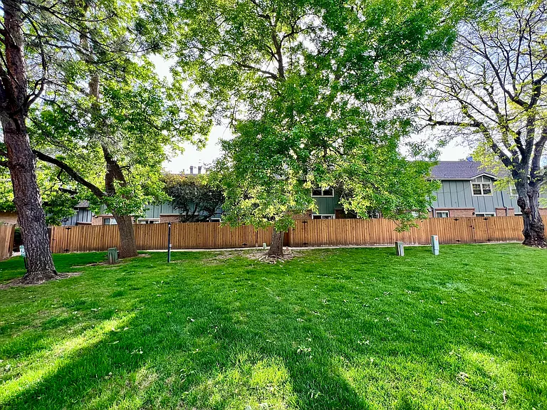 Open lawn