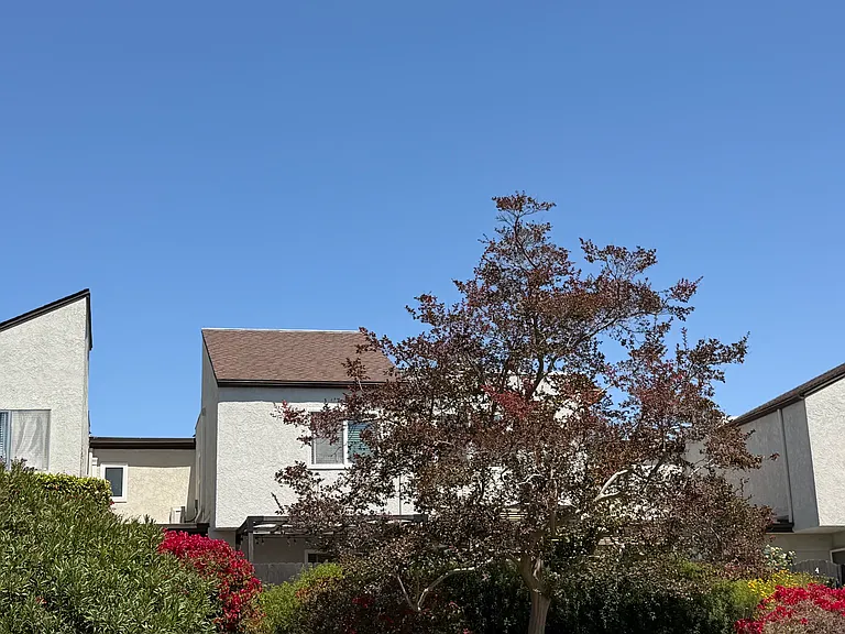 9575 Easter Way #6 — Photo 2