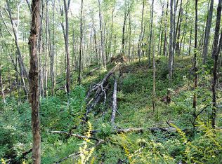 159 Hollyfield Dr, Townsend, TN 37882