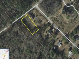 SW Highway 385 LOT 13, Lane, SC 29564