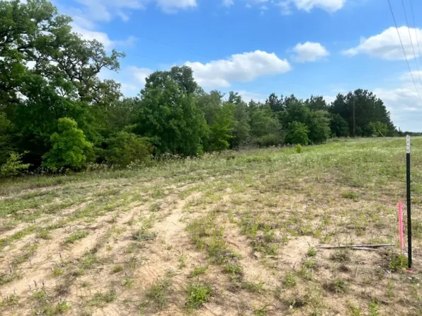 0 Ponderosa Loop, Paige, TX 78659