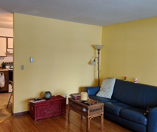 Living room and entry to kitchen, facing NE.