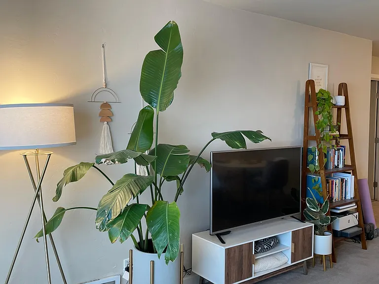 6400 Christie Ave #4327 — Photo 6