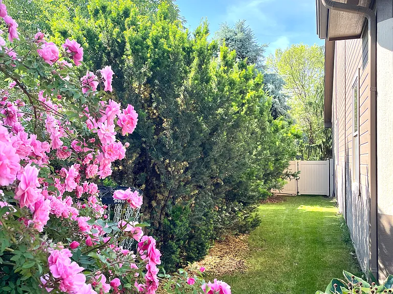 10508 Alpine St — Photo 33